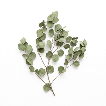 Handcrafted Botanical Sprig